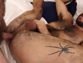 Hairy Otter bareback fucked by Daddy